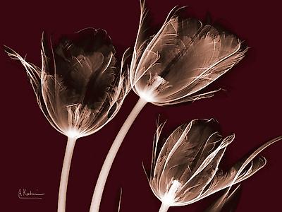 Premium Giclee Print, , small