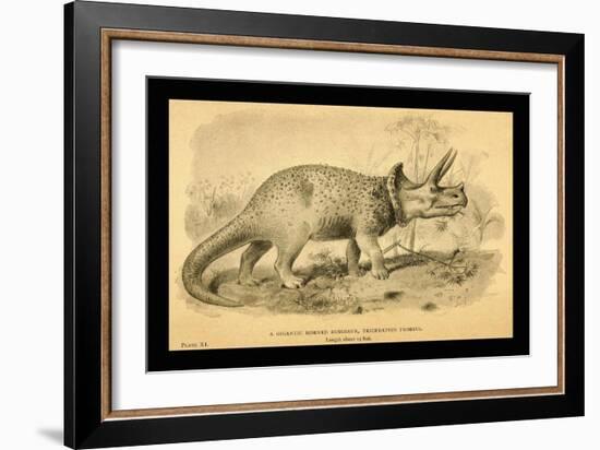 Triceratops Prorsus-Joseph Smit-Framed Art Print