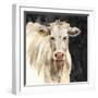 White Cow on Black-Silvia Vassileva-Framed Art Print
