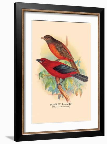 Scarlet Tanager-Arthur G. Butler-Framed Art Print