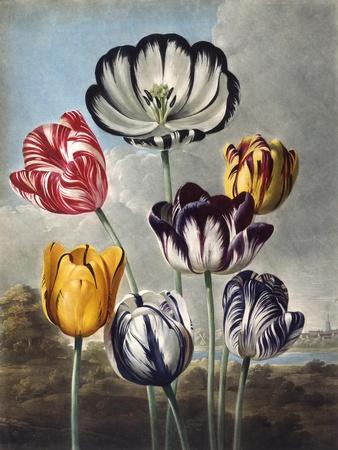 Premium Giclee Print, , small