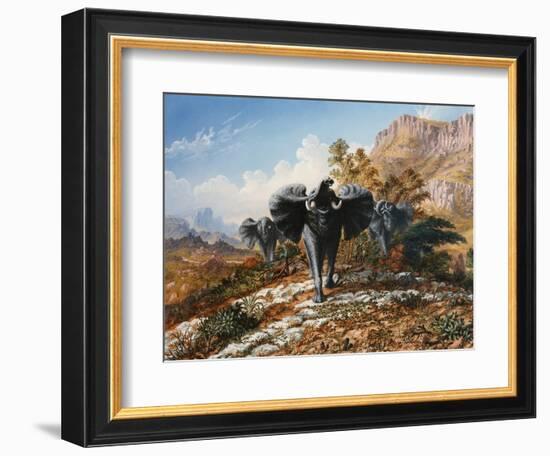 Gold and Ivory, Elephants Charging-Thomas Baines-Framed Art Print