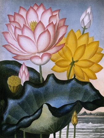 Premium Giclee Print, , small