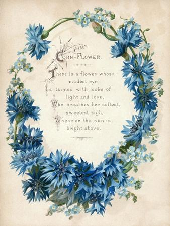 Premium Giclee Print, , small