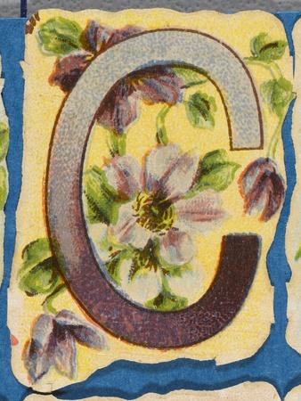 Premium Giclee Print, , small