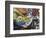 Coupon Stories-Dan Monteavaro-Framed Giclee Print