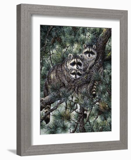 Racoons-Jeff Tift-Framed Giclee Print