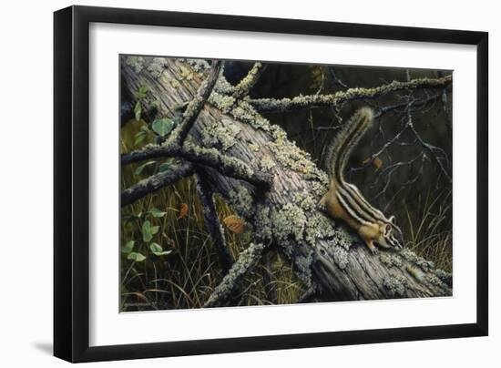 Eastern Chipmunk-Harro Maass-Framed Giclee Print