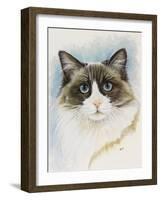 Ragdoll-Barbara Keith-Framed Giclee Print