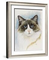 Ragdoll-Barbara Keith-Framed Giclee Print