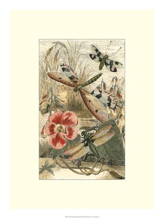 Premium Giclee Print, , small
