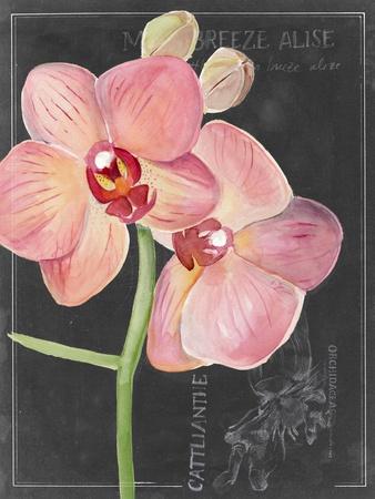 Premium Giclee Print, , small