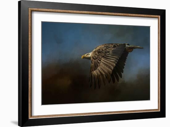 Storm Chaser Bald Eagle-Jai Johnson-Framed Giclee Print