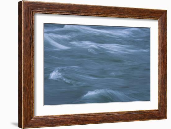 Tossed About-Anthony Paladino-Framed Giclee Print