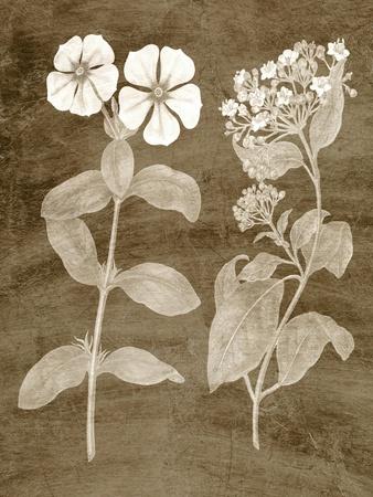 Premium Giclee Print, , small
