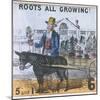 Roots All Growing!, Cries of London, C1840-TH Jones-Mounted Giclee Print