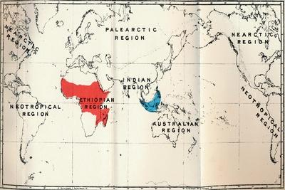 Giclee Print, , small