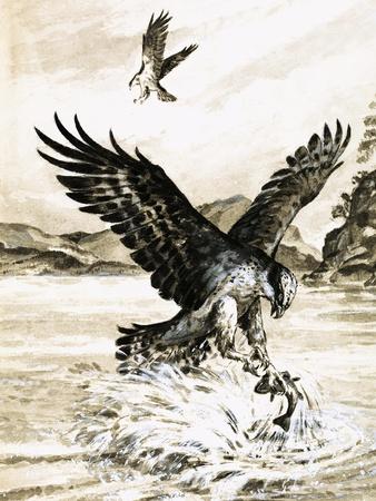Premium Giclee Print, , small