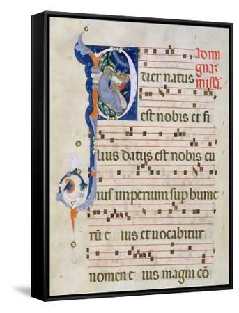 Stretched Canvas Print, , small