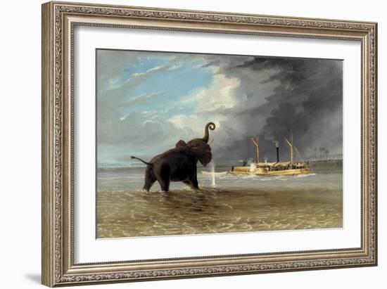 The 'Ma Roberts' and an Elephant in the Shallows, Lower Zambezi, 1859-Thomas Baines-Framed Giclee Print
