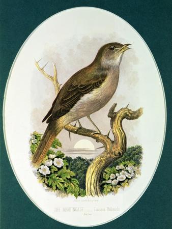 Premium Giclee Print, , small