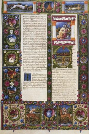 Giclee Print, , small