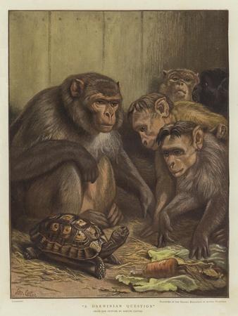 Giclee Print, , small