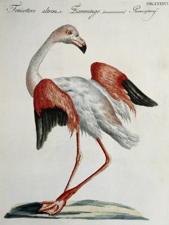 Premium Giclee Print, , small