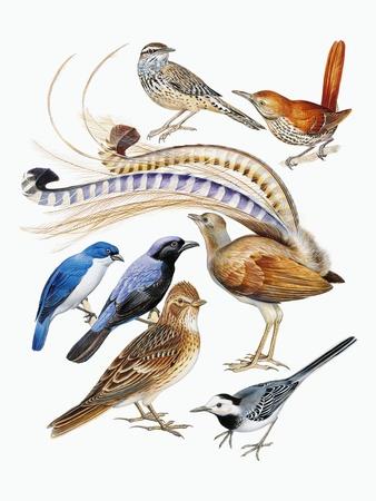 Premium Giclee Print, , small