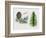 Deodar Cedar or Himalayan Cedar (Cedrus Deodara), Pinaceae, Tree, Leaves and Fruit-null-Framed Giclee Print