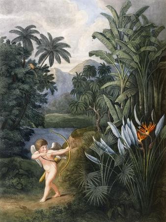 Giclee Print, , small