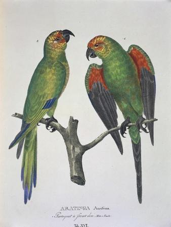 Premium Giclee Print, , small