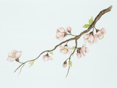 Premium Giclee Print, , small
