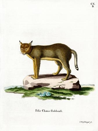 Premium Giclee Print, , small