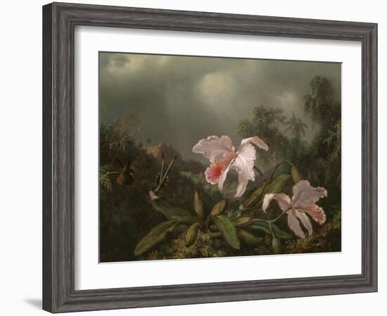 Jungle Orchids and Hummingbirds, 1872-Martin Johnson Heade-Framed Giclee Print