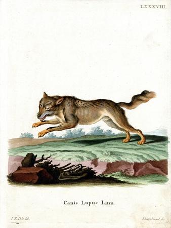 Premium Giclee Print, , small