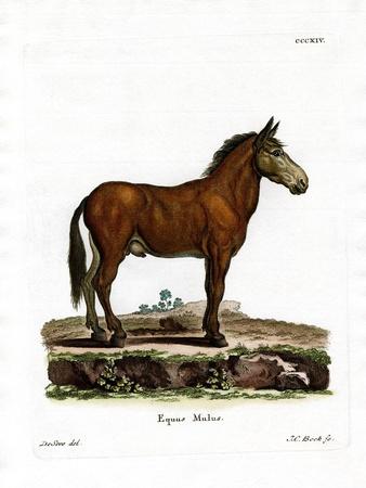 Premium Giclee Print, , small