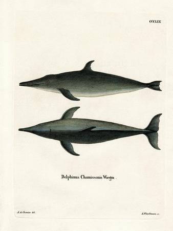 Premium Giclee Print, , small