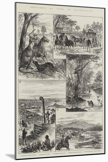 Sketches of Life in Queensland-null-Mounted Giclee Print