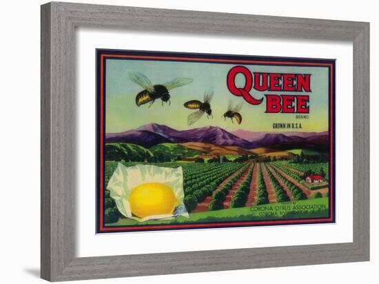 Queen Bee Lemon Label - Corona, CA-Lantern Press-Framed Art Print