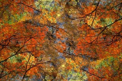 Premium Photographic Print, , small