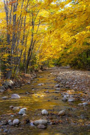 Premium Photographic Print, , small