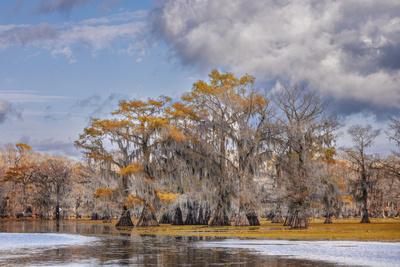 Premium Photographic Print, , small