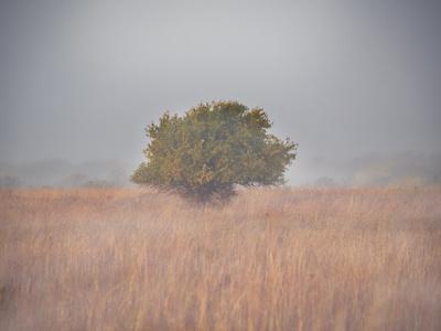 Premium Photographic Print, , small