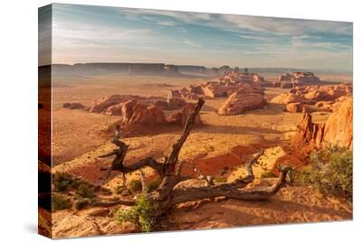 Stretched Canvas Print, , small