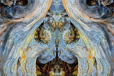 Photographic Print, , small