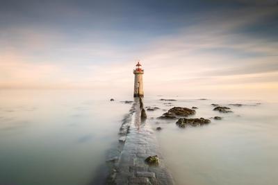Premium Photographic Print, , small