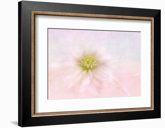 Over the rainbow-Jacky Parker-Framed Photographic Print