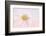 Over the rainbow-Jacky Parker-Framed Photographic Print