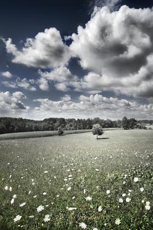 Premium Photographic Print, , small